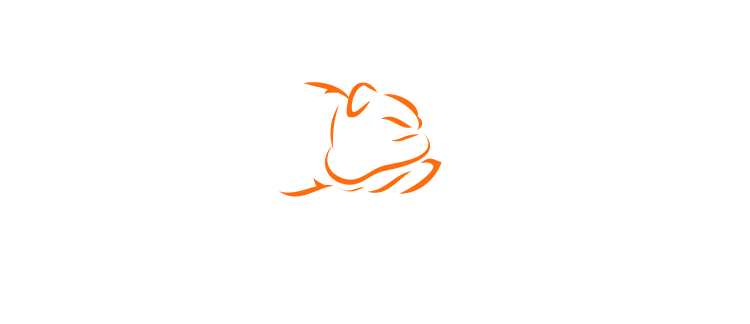 Bad Boy Mowers - Presenting Sponsor of Outlaw Days